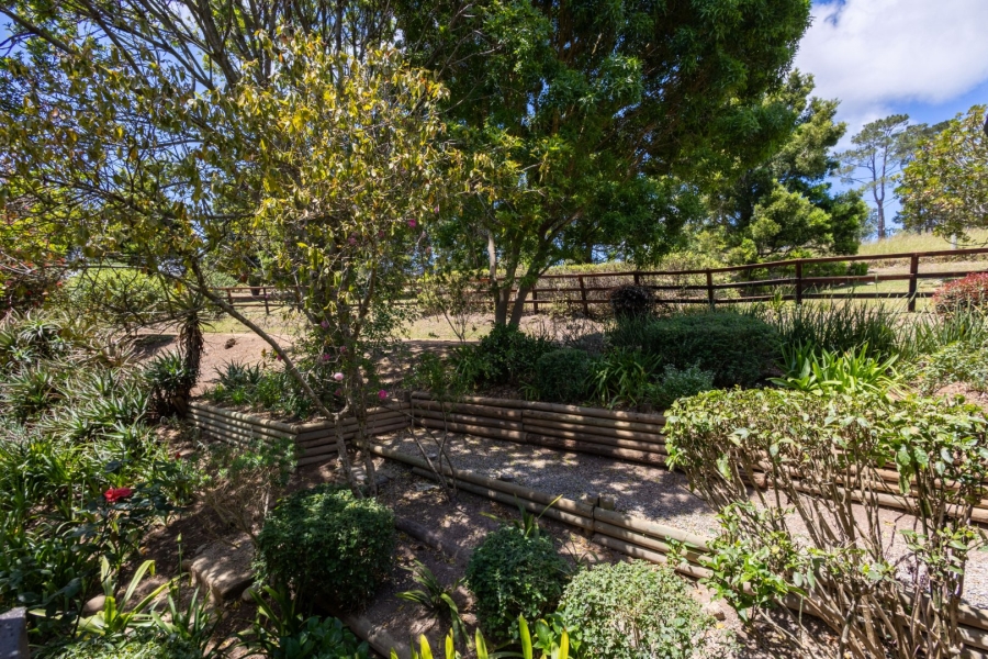 3 Bedroom Property for Sale in The Crags Western Cape